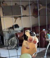 processed/51d88890-a0c6-4efe-a006-d9e868dfe756/listing/ddaaa4f7-cc8c-4612-a799-4e6d1a0d8837/d2eece74-72e3-40ca-9456-412da17f3a35