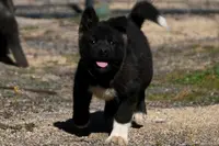 processed/51e087d4-a0eb-430e-a1bf-b2f93555bfca/listing/6adb6461-eafc-401b-8d38-5f996ef20aa0/07e248e1-7203-4482-a8b0-1809e97a45ee