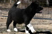 processed/51e087d4-a0eb-430e-a1bf-b2f93555bfca/listing/6adb6461-eafc-401b-8d38-5f996ef20aa0/17fad5de-b1ad-45e8-8e39-9e5e02b67665