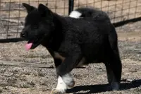 processed/51e087d4-a0eb-430e-a1bf-b2f93555bfca/listing/6adb6461-eafc-401b-8d38-5f996ef20aa0/2e822e06-4f8c-4389-ab5e-4215da6f21eb