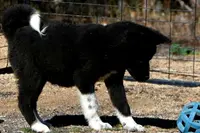 processed/51e087d4-a0eb-430e-a1bf-b2f93555bfca/listing/6adb6461-eafc-401b-8d38-5f996ef20aa0/3895ca06-a9ef-4107-96d6-a4357c3f2d69