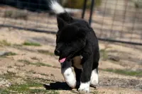 processed/51e087d4-a0eb-430e-a1bf-b2f93555bfca/listing/6adb6461-eafc-401b-8d38-5f996ef20aa0/42652d37-2fe5-414f-9f57-4414b0da3f29