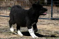 processed/51e087d4-a0eb-430e-a1bf-b2f93555bfca/listing/6adb6461-eafc-401b-8d38-5f996ef20aa0/d629b531-53eb-4ea0-9517-1b45b9049ddf