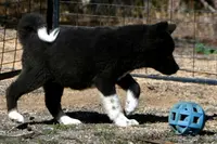 processed/51e087d4-a0eb-430e-a1bf-b2f93555bfca/listing/6adb6461-eafc-401b-8d38-5f996ef20aa0/f44554c9-1708-43b7-8f4b-eb04f4a9c639