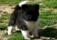 processed/51e087d4-a0eb-430e-a1bf-b2f93555bfca/listing/a11b746b-7155-456c-99b9-c67a45db9049/0d7b04e2-fed5-46b9-b64f-4cadc9220d6d