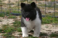 processed/51e087d4-a0eb-430e-a1bf-b2f93555bfca/listing/a11b746b-7155-456c-99b9-c67a45db9049/162120d9-bfea-4027-a848-dd5b7a7dbc8d