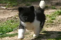 processed/51e087d4-a0eb-430e-a1bf-b2f93555bfca/listing/a11b746b-7155-456c-99b9-c67a45db9049/403bde47-f887-4c0e-adbf-976c48991027