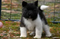 processed/51e087d4-a0eb-430e-a1bf-b2f93555bfca/listing/a11b746b-7155-456c-99b9-c67a45db9049/56edd5e4-a749-49d6-981a-95cb364587d2