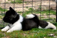 processed/51e087d4-a0eb-430e-a1bf-b2f93555bfca/listing/a11b746b-7155-456c-99b9-c67a45db9049/66b7e1d7-d5ef-45b7-9fe4-84594ef52cec