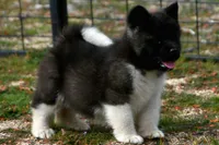 processed/51e087d4-a0eb-430e-a1bf-b2f93555bfca/listing/a11b746b-7155-456c-99b9-c67a45db9049/8aebc6fa-d8bb-4afa-ac34-a7bdb1e02844