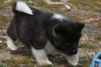 processed/51e087d4-a0eb-430e-a1bf-b2f93555bfca/listing/a11b746b-7155-456c-99b9-c67a45db9049/cf1883c6-4423-4e79-84fb-27e6be4190f1