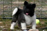 processed/51e087d4-a0eb-430e-a1bf-b2f93555bfca/listing/a11b746b-7155-456c-99b9-c67a45db9049/e7d0f293-413e-4f9a-a152-e9a125068f59