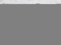 GLF3, a  Akita for sale in Anza, CA – 4 of 6