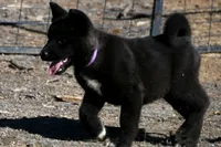 processed/51e087d4-a0eb-430e-a1bf-b2f93555bfca/listing/f27e042c-3dd9-40aa-9284-1d14494443d0/21b6b9c9-e926-47dc-9103-7073b881c4d5