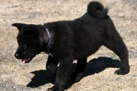 processed/51e087d4-a0eb-430e-a1bf-b2f93555bfca/listing/f27e042c-3dd9-40aa-9284-1d14494443d0/43fa65e0-950c-4bbe-aa7d-962b1542d8b4