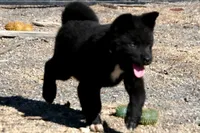 processed/51e087d4-a0eb-430e-a1bf-b2f93555bfca/listing/f27e042c-3dd9-40aa-9284-1d14494443d0/6baafb65-3b38-4841-8e96-0a476c39016b