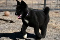 processed/51e087d4-a0eb-430e-a1bf-b2f93555bfca/listing/f27e042c-3dd9-40aa-9284-1d14494443d0/bde694f5-cd6c-48ac-b73e-49d814a7082d