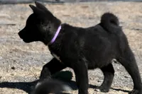 processed/51e087d4-a0eb-430e-a1bf-b2f93555bfca/listing/f27e042c-3dd9-40aa-9284-1d14494443d0/c9063c70-a1d9-4f75-9b20-c627f64cfe4d