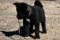 processed/51e087d4-a0eb-430e-a1bf-b2f93555bfca/listing/f27e042c-3dd9-40aa-9284-1d14494443d0/c98e421c-520c-40e5-a8d1-474163fa8d56