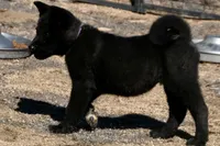 processed/51e087d4-a0eb-430e-a1bf-b2f93555bfca/listing/f27e042c-3dd9-40aa-9284-1d14494443d0/ea8f39ab-8761-4803-b5f1-e2c1bcf45270