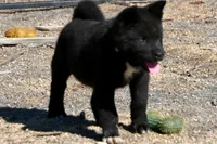 processed/51e087d4-a0eb-430e-a1bf-b2f93555bfca/listing/f27e042c-3dd9-40aa-9284-1d14494443d0/f66381cd-5d92-45e5-959e-3300cb21ddd6