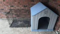 Rocky, a male German Shepherd Dog for sale in Gretna, LA – Photo 6 of 10