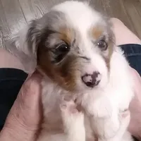 processed/51ee1144-6503-4d84-a15f-d804cf7214f3/facility/1ce2b88c-c369-41a6-8f4c-78185a0533b0