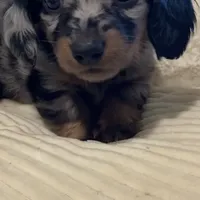 processed/51ee1144-6503-4d84-a15f-d804cf7214f3/facility/262ad8fd-dfff-4e5e-9814-109b877a637f