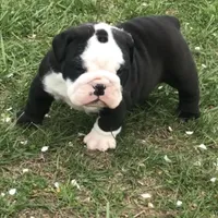 processed/51ee1144-6503-4d84-a15f-d804cf7214f3/facility/8afbe05d-afc3-4dcc-b87d-abdbee7d781d