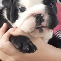 processed/51ee1144-6503-4d84-a15f-d804cf7214f3/facility/9d0f738a-2827-473a-b148-53e99d35c63a