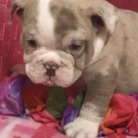 processed/51ee1144-6503-4d84-a15f-d804cf7214f3/facility/c87ae45d-36a7-47a5-a258-e48976b51173