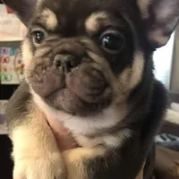 processed/51ee1144-6503-4d84-a15f-d804cf7214f3/facility/df71bf82-3dca-4e0b-9d8f-c3caa241835b