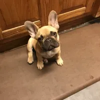 processed/51ee1144-6503-4d84-a15f-d804cf7214f3/facility/e2ff662d-c828-487f-a5c3-6b78bbdb59f1