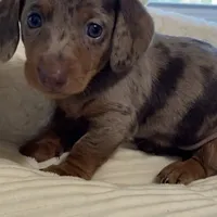 processed/51ee1144-6503-4d84-a15f-d804cf7214f3/facility/ecdd5084-65ce-454d-907e-ad36924753dc