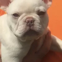 processed/51ee1144-6503-4d84-a15f-d804cf7214f3/facility/f4bb3314-7e5c-4ecb-bbb7-481099ba0362