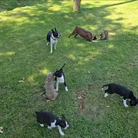 processed/51f694e2-b609-43d9-b901-483044e5bfaf/facility/23b7a41f-bec6-4071-b018-4ecb18cd1171