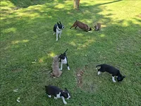 processed/51f694e2-b609-43d9-b901-483044e5bfaf/facility/23b7a41f-bec6-4071-b018-4ecb18cd1171