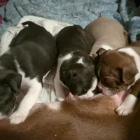 processed/51f694e2-b609-43d9-b901-483044e5bfaf/facility/e08c7fff-7395-4d4a-8116-969007082cb0