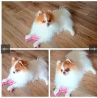 processed/51f94aea-7b6f-42af-a03d-251b191ba9e2/facility/01cbd7d3-d10c-4759-b871-6aebfaae3e85