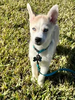 processed/51f94aea-7b6f-42af-a03d-251b191ba9e2/facility/038d9a09-5bcb-44ce-b740-4a65612a1d9e