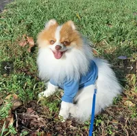 processed/51f94aea-7b6f-42af-a03d-251b191ba9e2/facility/cbffa4fc-64c4-4567-81cc-abea02d536e3