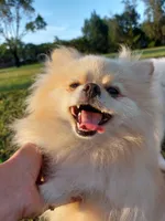 processed/51f94aea-7b6f-42af-a03d-251b191ba9e2/facility/debbf681-92ea-41cb-b802-895641826432