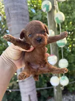 processed/5204c8dc-3d44-4c5d-996d-7cd5d5816dcd/facility/0296d8f7-76b1-4e08-81ea-3f19192df6f1