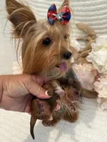 processed/5204c8dc-3d44-4c5d-996d-7cd5d5816dcd/facility/3578fc83-36c3-4fd7-a89f-299988056c6a