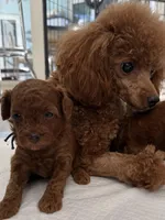 processed/5204c8dc-3d44-4c5d-996d-7cd5d5816dcd/facility/b356146c-b35f-42e8-9ebf-100959ccefd0