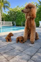 processed/5204c8dc-3d44-4c5d-996d-7cd5d5816dcd/facility/c4dd4d2d-557e-4a41-a991-c672e8f3f522