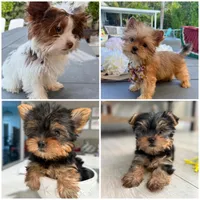 processed/5204c8dc-3d44-4c5d-996d-7cd5d5816dcd/facility/d090620c-1c30-4655-a389-7959c2476158