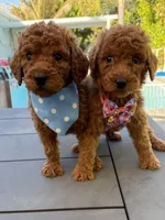 processed/5204c8dc-3d44-4c5d-996d-7cd5d5816dcd/facility/e2461cf4-6623-4e55-bfd4-54033a9cf8f2