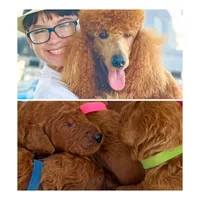 processed/5204c8dc-3d44-4c5d-996d-7cd5d5816dcd/facility/f8911551-92db-4df0-8e40-dd3b16e15da1