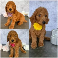 processed/5204c8dc-3d44-4c5d-996d-7cd5d5816dcd/facility/f9ae9b17-e87f-4043-b8d5-9c3a8fe8f61c